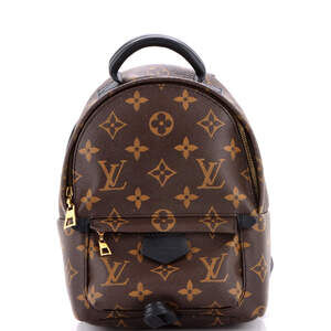 Louis Vuitton Palm Springs Backpack #236509L21B